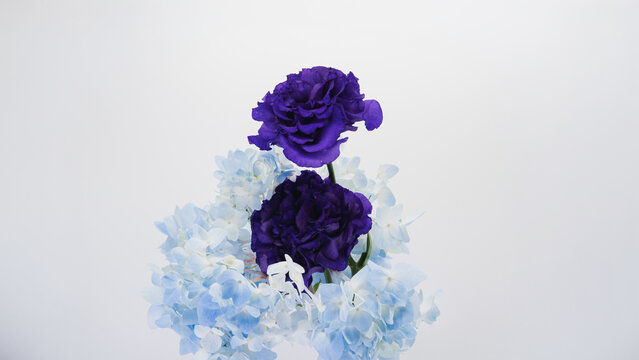 紫のトルコキキョウと水色の紫陽花 フラワーアレンジメント