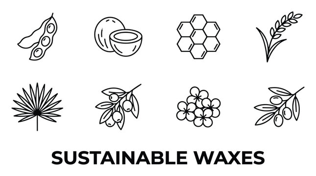 Sustainable waxes ingredients including soybeans coconut honeycomb rice and palm leaves.