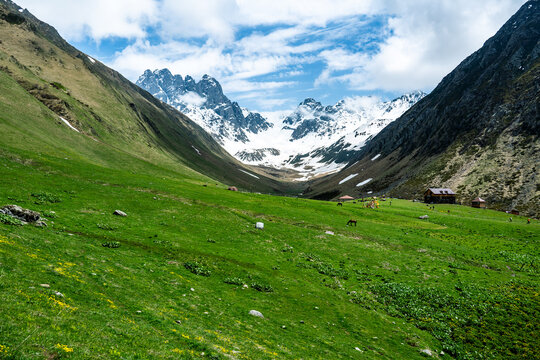 The alpine grassland scenery of the Caucasus Mountains in Georgia
