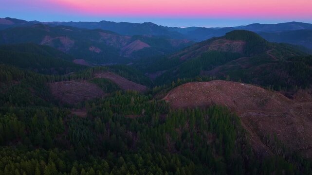 Aerial Drone View of Evergreen Mountains and Clear Cut Forest in Oregon