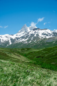 The alpine grassland scenery of the Caucasus Mountains in Georgia
