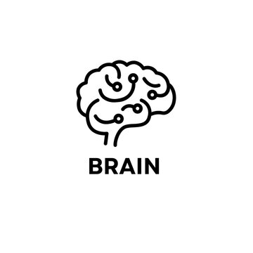 brain vector illustration