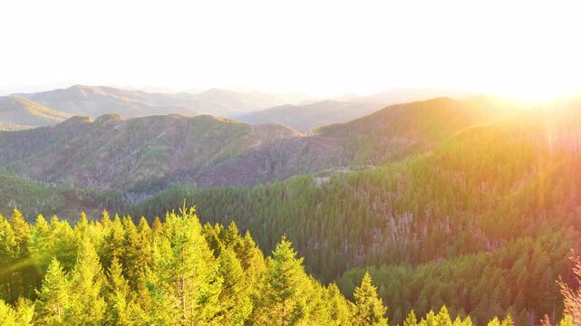 Golden Hour Drone Shot Over Tillamook State Forest Oregon
