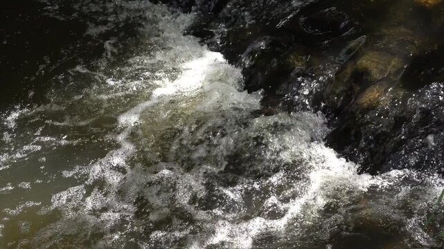 the rushing of the brook