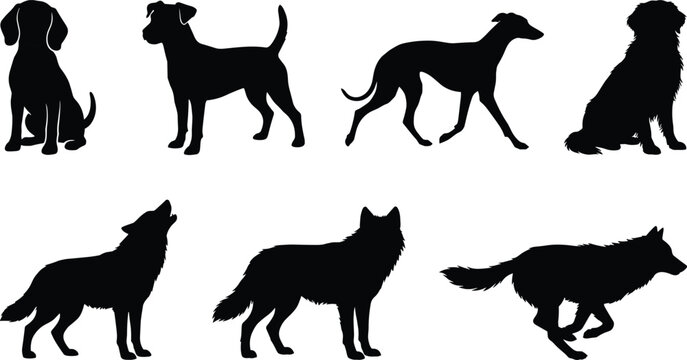 Dog and Wolf Silhouette Collection Vector Illustration Isolated on Gray Background for Wildlife and Pet Design