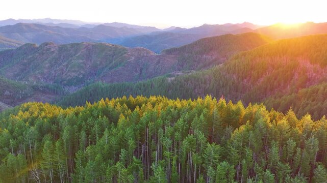 Sunset Light Across Evergreen Mountains in Tillamook Oregon