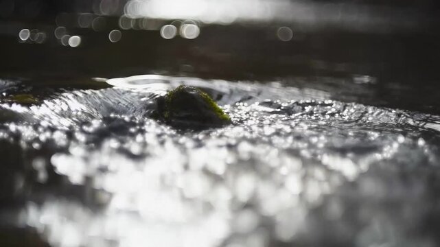 Creek water gently burble around stone covered with some moss, sunlight glittering on water surface and create nice bokeh in background