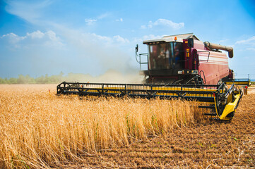 Obraz premium Combine harvesters in a field of wheat