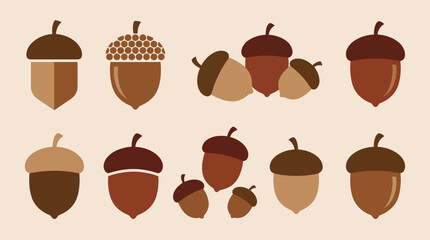 Collection of various brown acorn illustrations. © Abhinaya Project