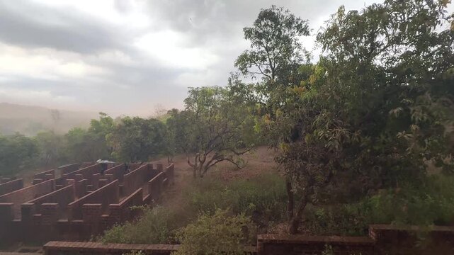 Dark storm clouds rolling across Konkan as mango trees sway in heavy winds
