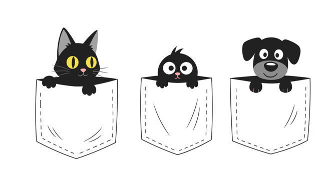 Trio of cute black pets including two cats and one dog peeking out of white pockets against a white background for a tshirt design.
