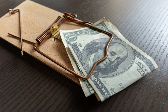 Dollar banknotes in a mouse trap as a bait. Money, finance and scam concept.