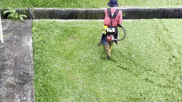 Aerial video of a municipal gardener operating a gas-powered backpack brush cutter to trim an expansive green lawn. Wearing protective gear, the worker efficiently sweeps the trimmer to clear grass.