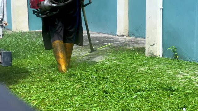 Cutting grass close-up. The worker operates a petrol brush cutter for commercial lawn maintenance and landscaping.