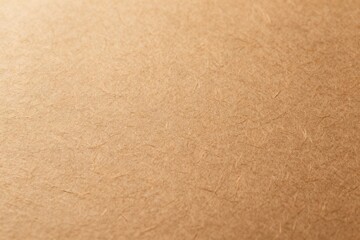 Fototapeta premium Closeup of textured brown paper