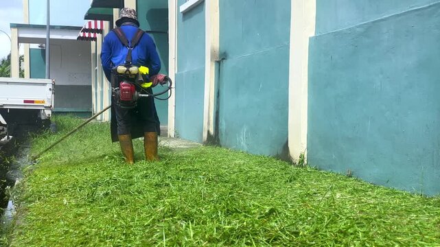 Low-angle video of a landscaper using a brush cutter to trim grass along a turquoise building wall. The ground is covered in a thick green lawn clippings during commercial groundskeeping.