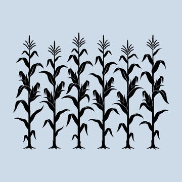 Black silhouette of corn stalks in a row