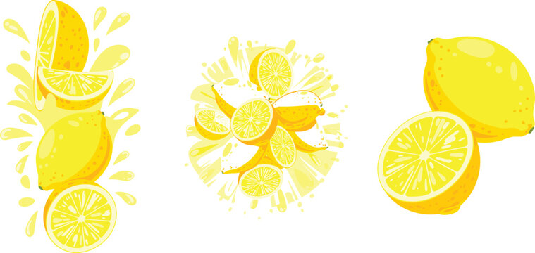 Fresh Yellow Lemon Fruit Vector Illustration with Whole Lemons Slices and Dynamic Liquid Juice Splashes for Lemonade Packaging Beverage Menu Designs