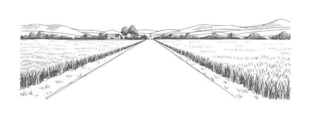 Hand drawn rural landscape with a straight road through fields and distant hills © Rakibul V