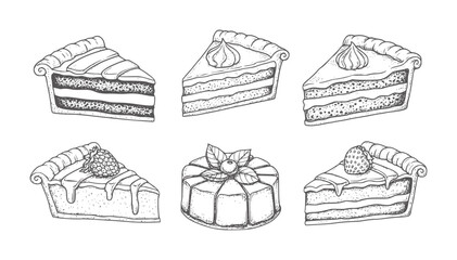 Hand drawn slices of cake and a whole cake with berries dessert pastry berry © Rakibul V