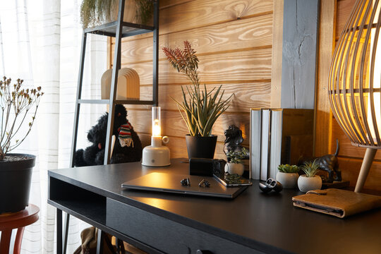 Desk setup in a cozy room with plants, decorations, and unique items during daytime