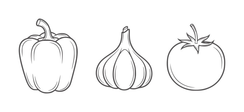 Line of bell pepper garlic bulb and tomato