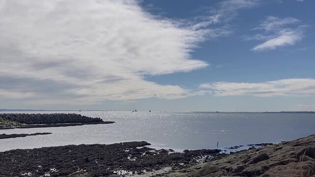 Sparkling Seaside at Kasai Rinkai Park with Distant Airplane and Birds