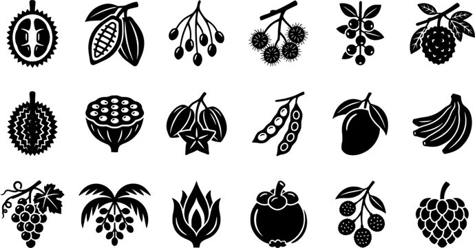 Black Tropical Fruit Silhouette Icon Set with Cacao Pods, Berries, Banana, Grapes, Fig and Exotic Botanical Food Elements Isolated on White Background