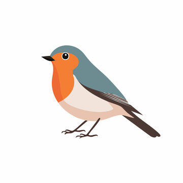 Illustration of a European Robin bird