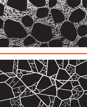 Abstract organic cellular and geometric voronoi patterns in black and white for graphic design and texture overlays
