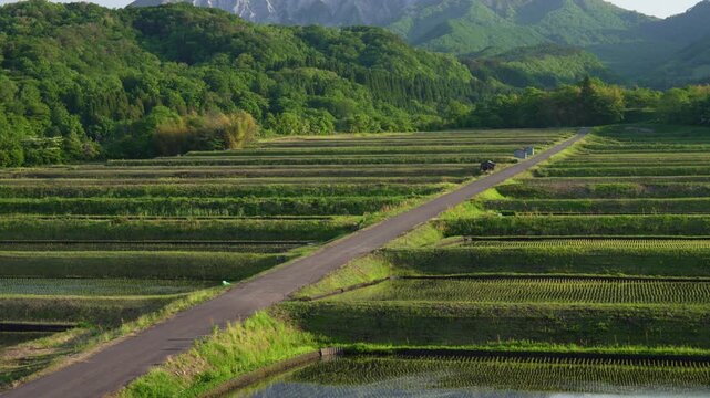 鳥取県の春の御机みつめの棚田と伯耆大山南壁_10bit_4:2:2_チルト