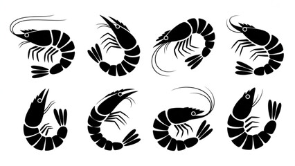 Obraz premium Marine Shrimp Silhouette Vector Set Seafood Crustacean Icons in Various Poses and Sizes