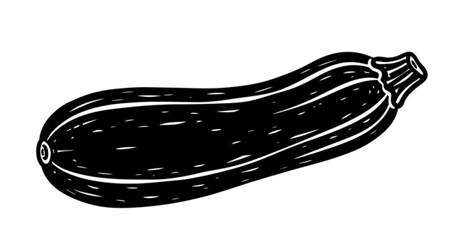Black and white zucchini drawing, simple, isolated on white background