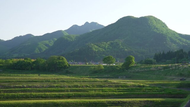 鳥取県の春の御机みつめの棚田と伯耆大山南壁_10bit_4:2:2_パニング
