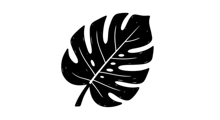 Monstera Leaf Silhouette, Tropical Plant, Black and White, Vector Art © Labib