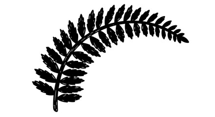 Black fern frond silhouette isolated on white background © Labib