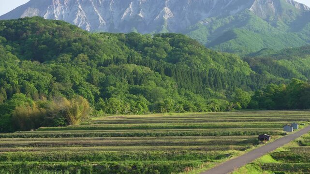 鳥取県の春の御机みつめの棚田と伯耆大山南壁_10bit_4:2:2_チルト