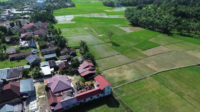 Aerial view of Terraced Green Rice Field in East Aceh, Sumatera. Aerial view of verdant rice terraces next to village nestled among trees on sunny morning