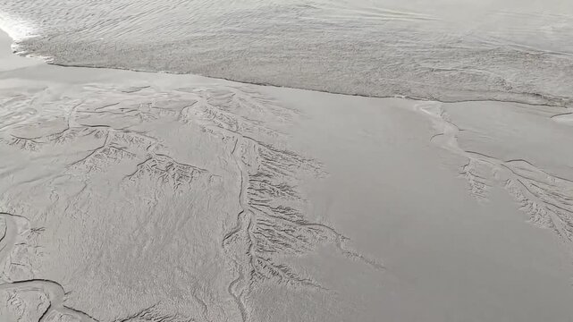 Aerial drone view captures the world-famous Qiantang River tidal bore sweeping over complex natural "tidal trees" patterns formed on the riverbed mudflats in Zhejiang, China.