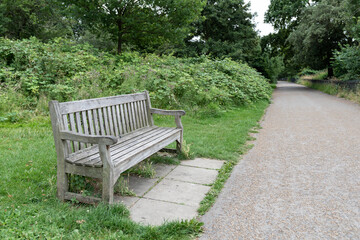 Fototapeta premium Wooden bench beside a quiet pathway in a green public park. Natural outdoor scenery creates a calm atmosphere for relaxation and walking.