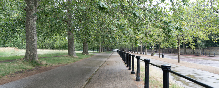 Long pedestrian walkway stretches through a tree lined urban park with wet pavement, cloudy weather, and peaceful outdoor scenery.