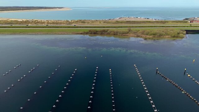 Aerial view of an aquaculture mussel farm near the Dutch coast. Marine cultivation rows in a blue bay with sand dunes, a coastal highway, and a vehicle parking lot visible in the background.