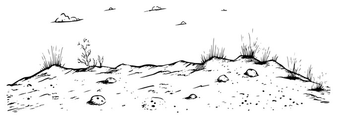Sandy hills with sparse vegetation and small rocks in hand drawn sketch style © Kaz