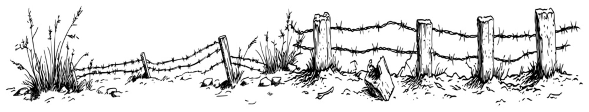 Barbed wire fence with wooden posts and wild grass in detailed line art style