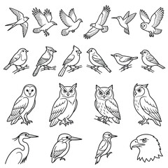Obraz premium Various Birds in Different Flying Poses.