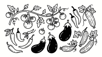 Fototapeta premium Hand-drawn line art collection of tomatoes, eggplants, cucumbers, and peppers, representing fresh garden harvest and organic farming concepts