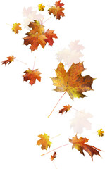 Fototapeta premium autumn lefes png