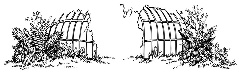 Ruined greenhouse frame overgrown with ferns and wild plants in hand drawn sketch style © Kaz
