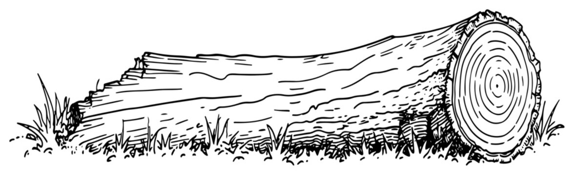 Fallen tree log on grassy ground in hand drawn sketch style