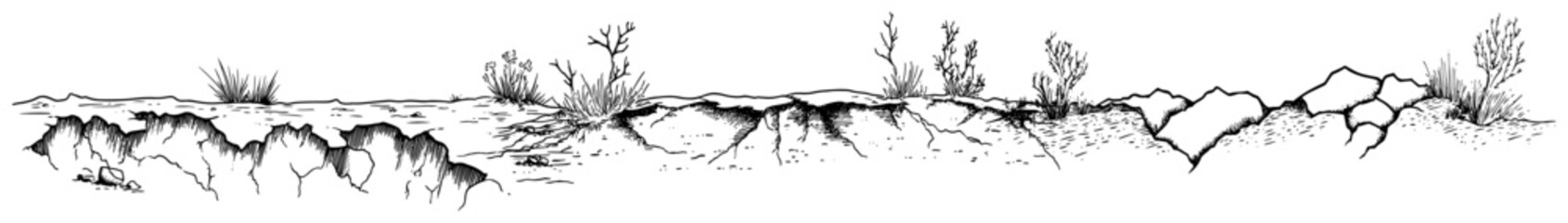 Soil ground border with sparse plants and rocks in vintage hand drawn style © Kaz